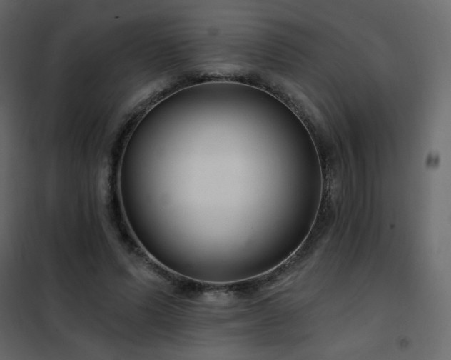 X0000102540591200808081523