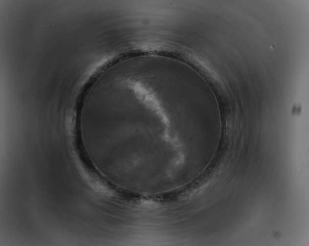 X0000102540592200808081523
