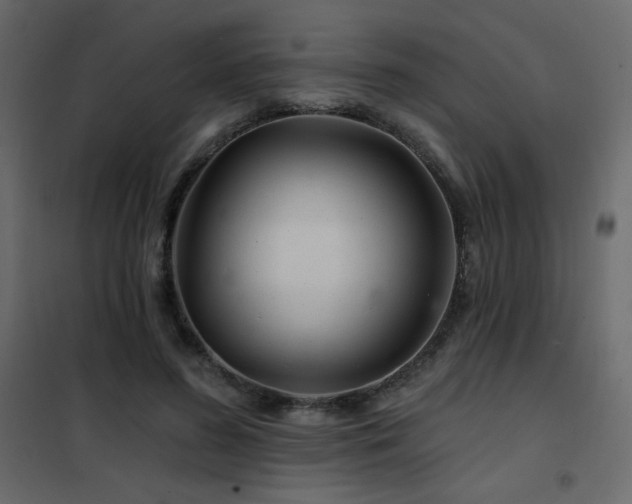 X0000102540596200808081523