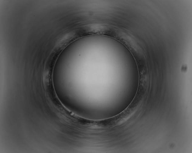 X0000102540597200808081523