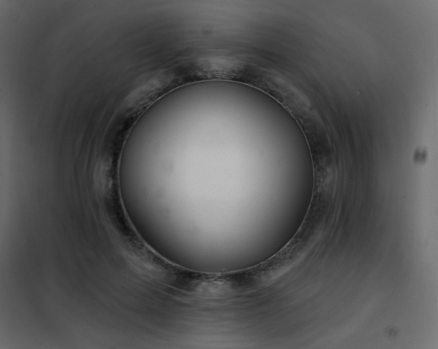 X0000102540599200808081523