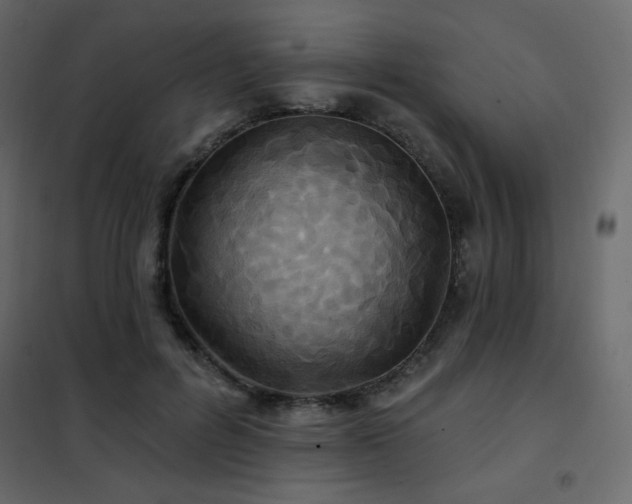 X0000102540600200808081523