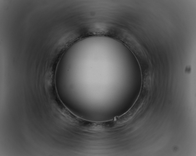 X0000102540604200808081523