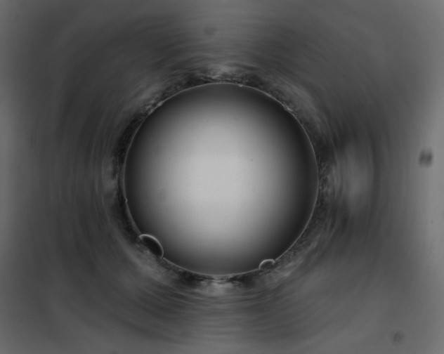X0000102540607200808081523