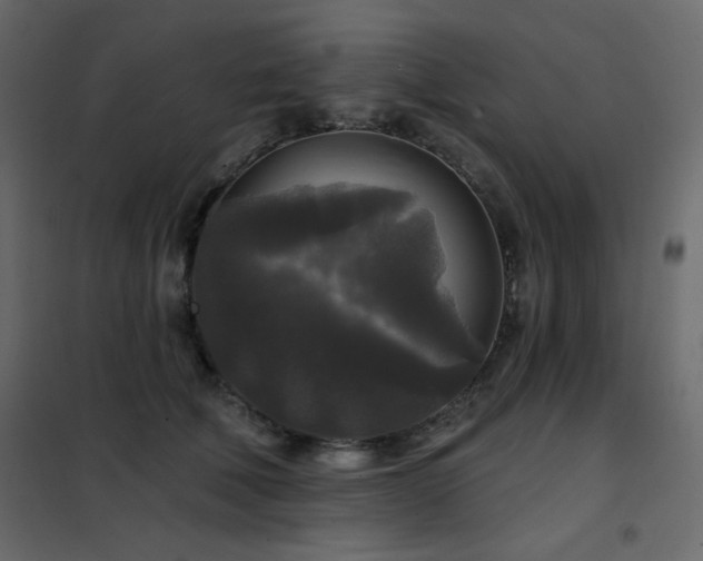 X0000102540610200808081523