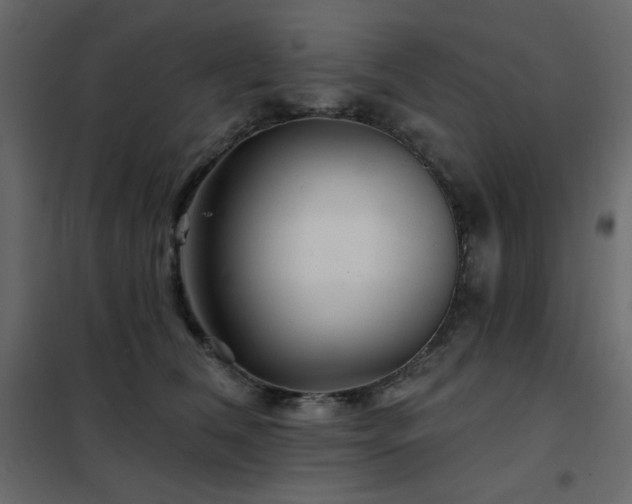 X0000102540612200808081523