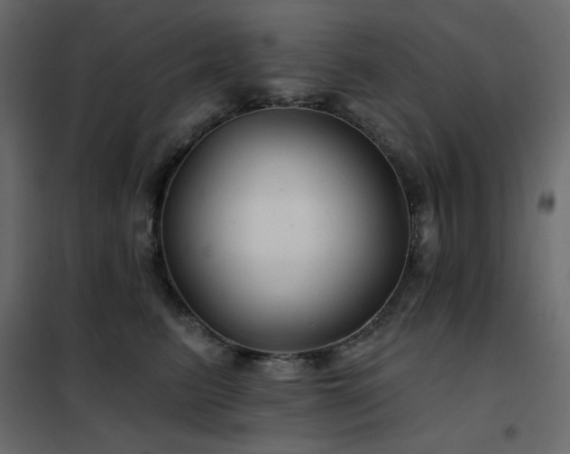 X0000102540615200808081523