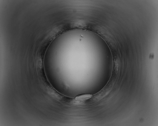 X0000102540617200808081523