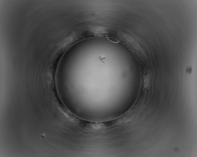 X0000102540618200808081523