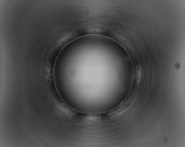 X0000102540619200808081523