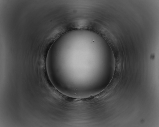 X0000102540620200808081523