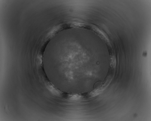 X0000102540621200808081523
