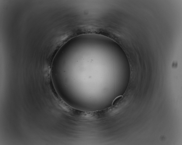 X0000102540624200808081523