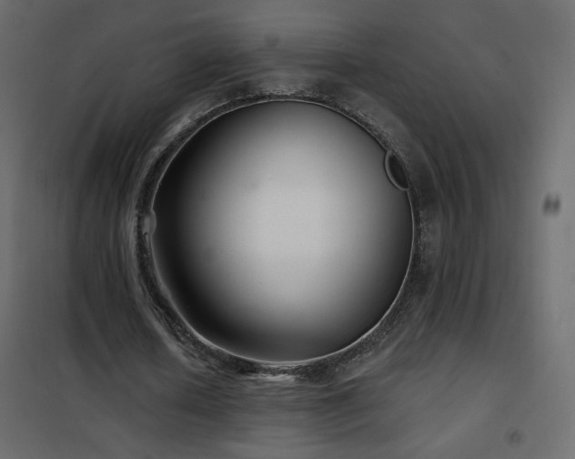 X0000102540626200808081522