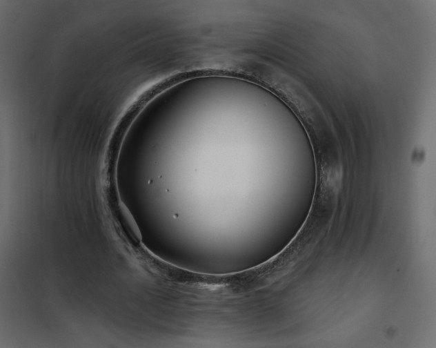 X0000102540628200808081522