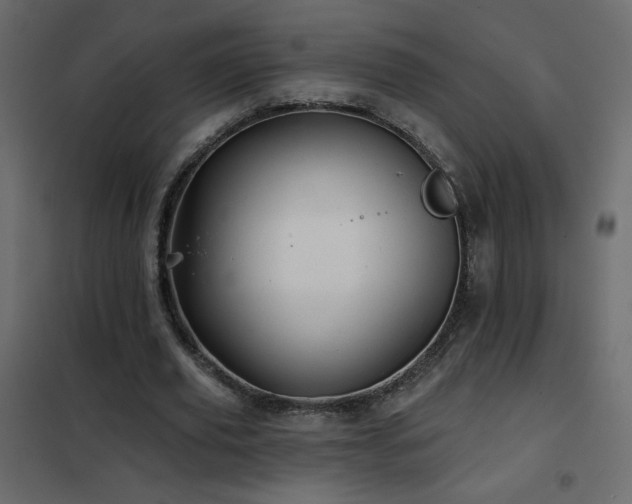 X0000102540629200808081522