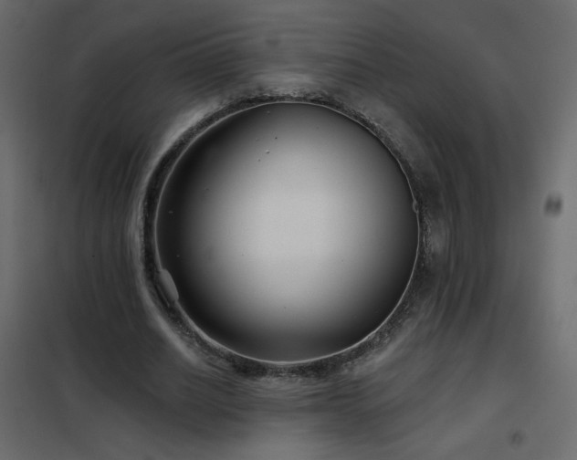 X0000102540630200808081522