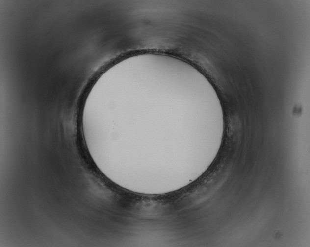 X0000102540632200808081522