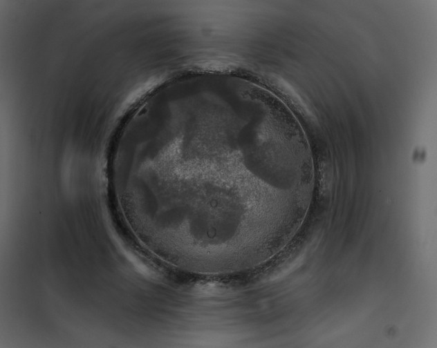 X0000102540634200808081522