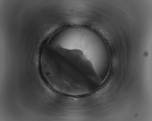 X0000102540637200808081522