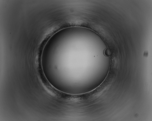 X0000102540638200808081522