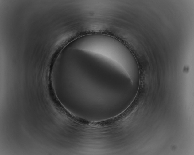 X0000102540640200808081522