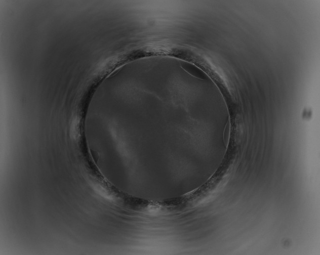 X0000102540641200808081522
