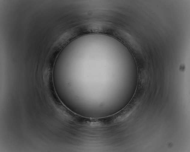 X0000102540645200808081522