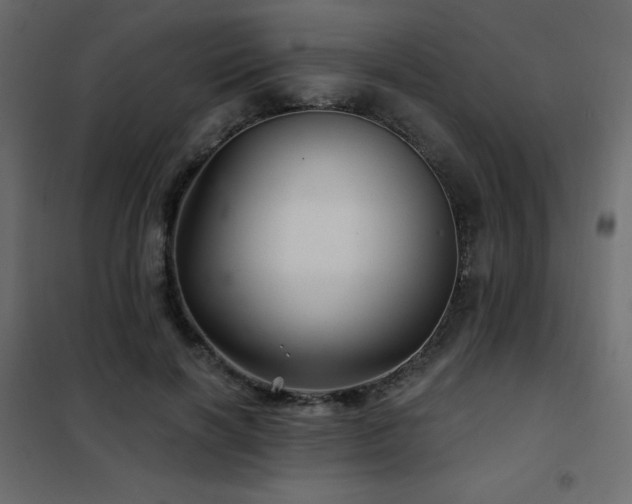 X0000102540646200808081522