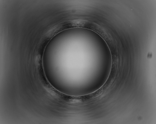 X0000102540649200808081522