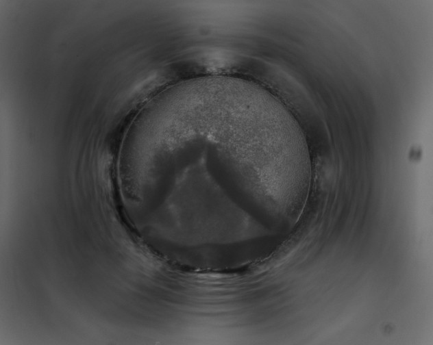 X0000102540650200808081522