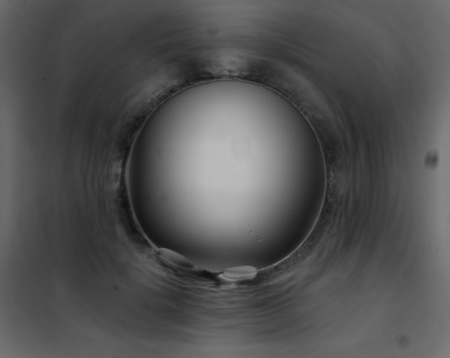 X0000102540652200808081522
