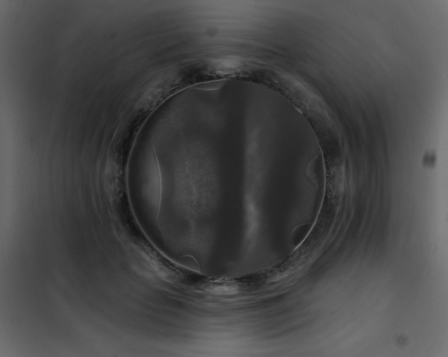 X0000102540653200808081522