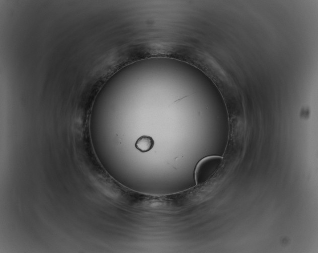 X0000102540655200808081522