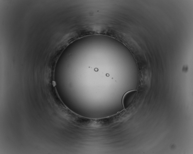 X0000102540656200808081522