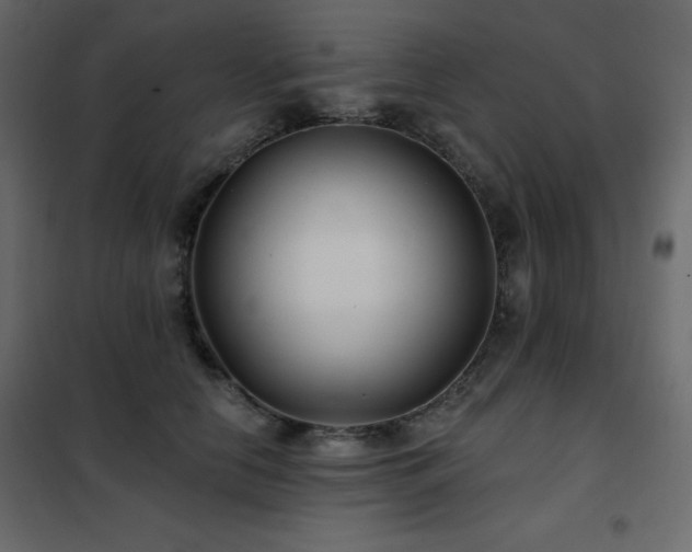 X0000102540658200808081522