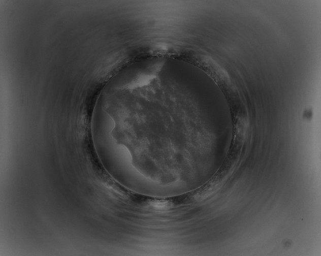 X0000102540659200808081523