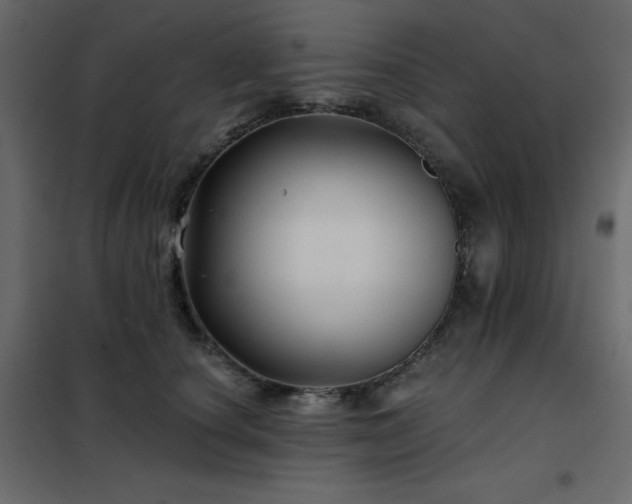 X0000102540660200808081523