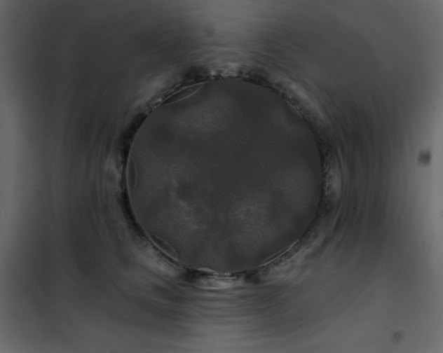 X0000102540661200808081523