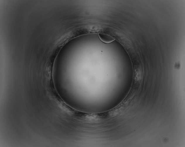 X0000102540666200808081523