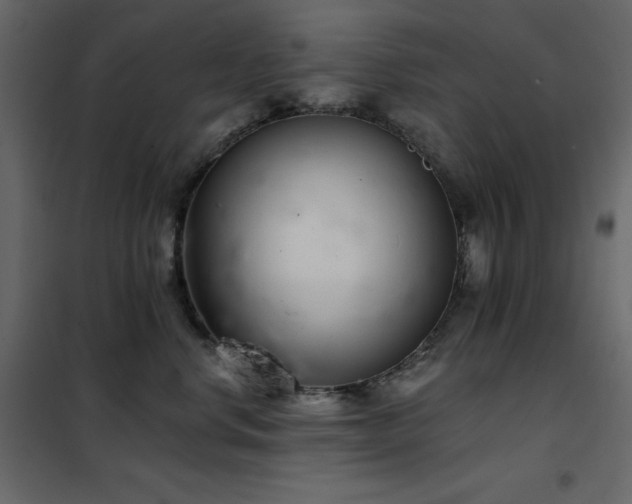 X0000102540668200808081523
