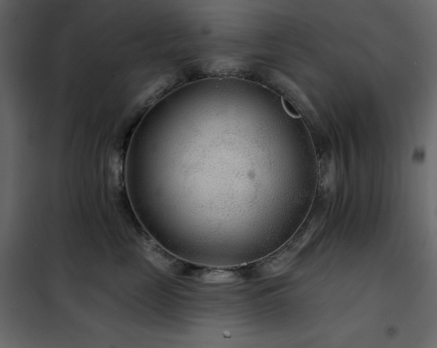 X0000102540669200808081523