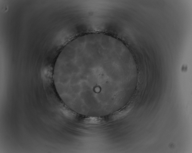 X0000102540672200808081523