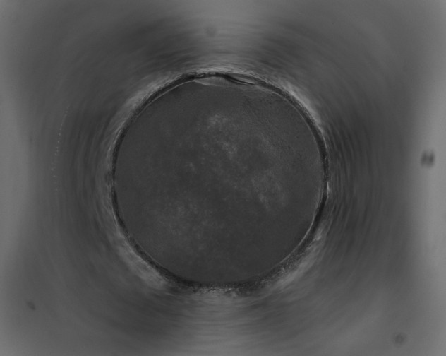 X0000102540673200808081522