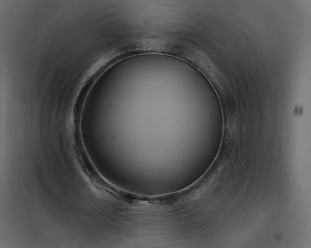 X0000102540674200808081522