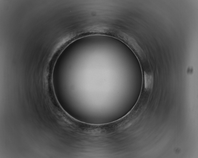 X0000102540675200808081522