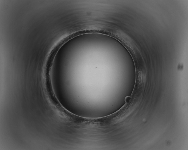 X0000102540676200808081522