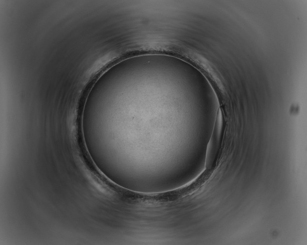 X0000102540677200808081522