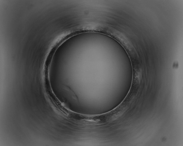 X0000102540678200808081522