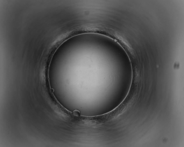 X0000102540681200808081522